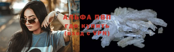 герыч Новозыбков