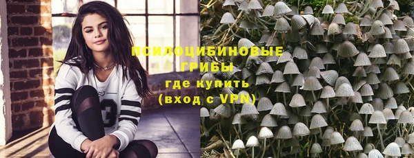 герыч Новозыбков