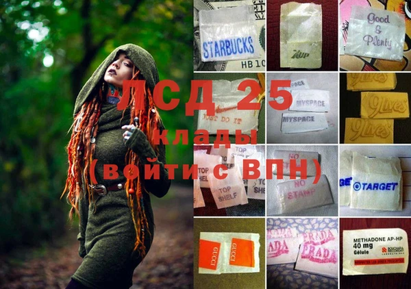 ГАЛЛЮЦИНОГЕННЫЕ ГРИБЫ Нязепетровск