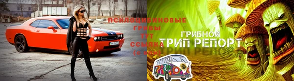 кокаин VHQ Новодвинск