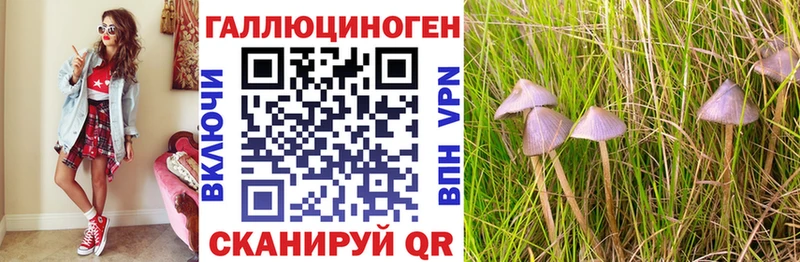 сколько стоит omg рабочий сайт Псилоцибиновые грибы Psilocybine cubensis Боготол